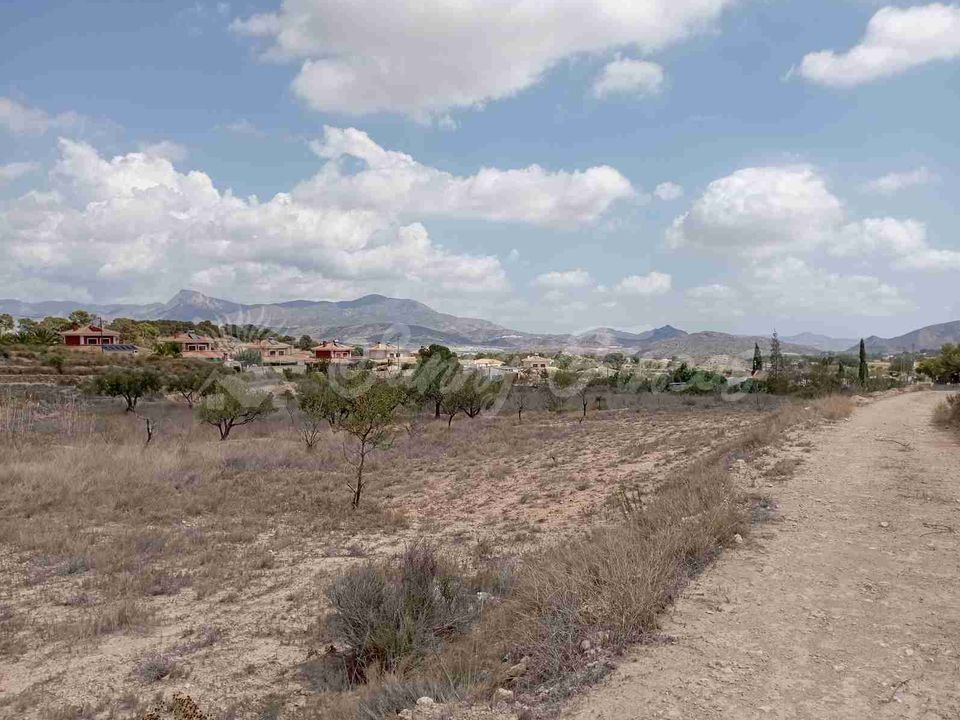 Helårsgrund i Monovar, Alicante - foto 1